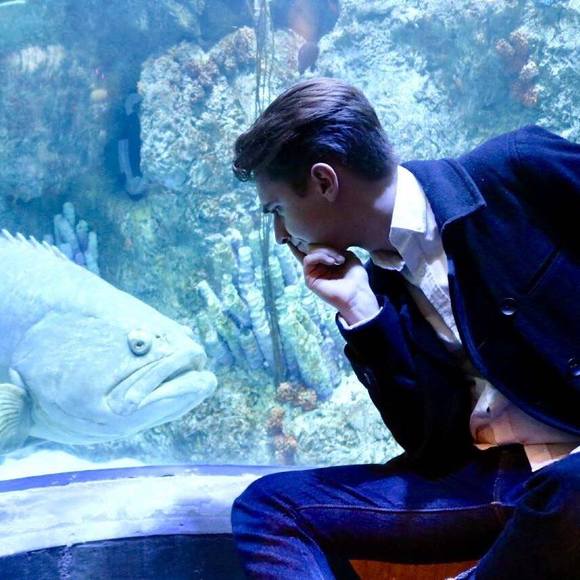 Meet your Posher, Seth - Picture 1 of 1